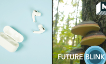 Split screen: Left image shows a set of white plastic wireless earplugs on a blue background, while the right shows a picture of three Genoderma Lucidum mushrooms growing on the bark of a tree.