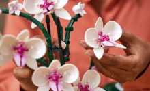 A person is building an orchid plant made from LEGOs.