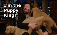 Keanu Reeves cuddling puppies on The Tonight Show Starring Jimmy Fallon