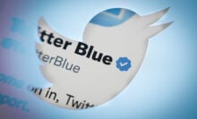 A screenshot of Twitter Blue's blue tick checkmark badge inside the sillouhete of the Twitter bird logo.