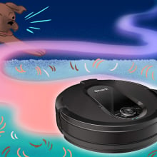 Illustration of robot vacuum on carpet with pets in background