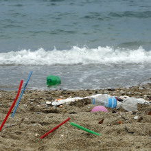 5 ways to keep plastic out of the world's oceans