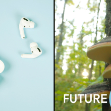 Split screen: Left image shows a set of white plastic wireless earplugs on a blue background, while the right shows a picture of three Genoderma Lucidum mushrooms growing on the bark of a tree.