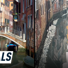 split image showing a full Venice canal next to an empty one. Caption reads: Dry canals