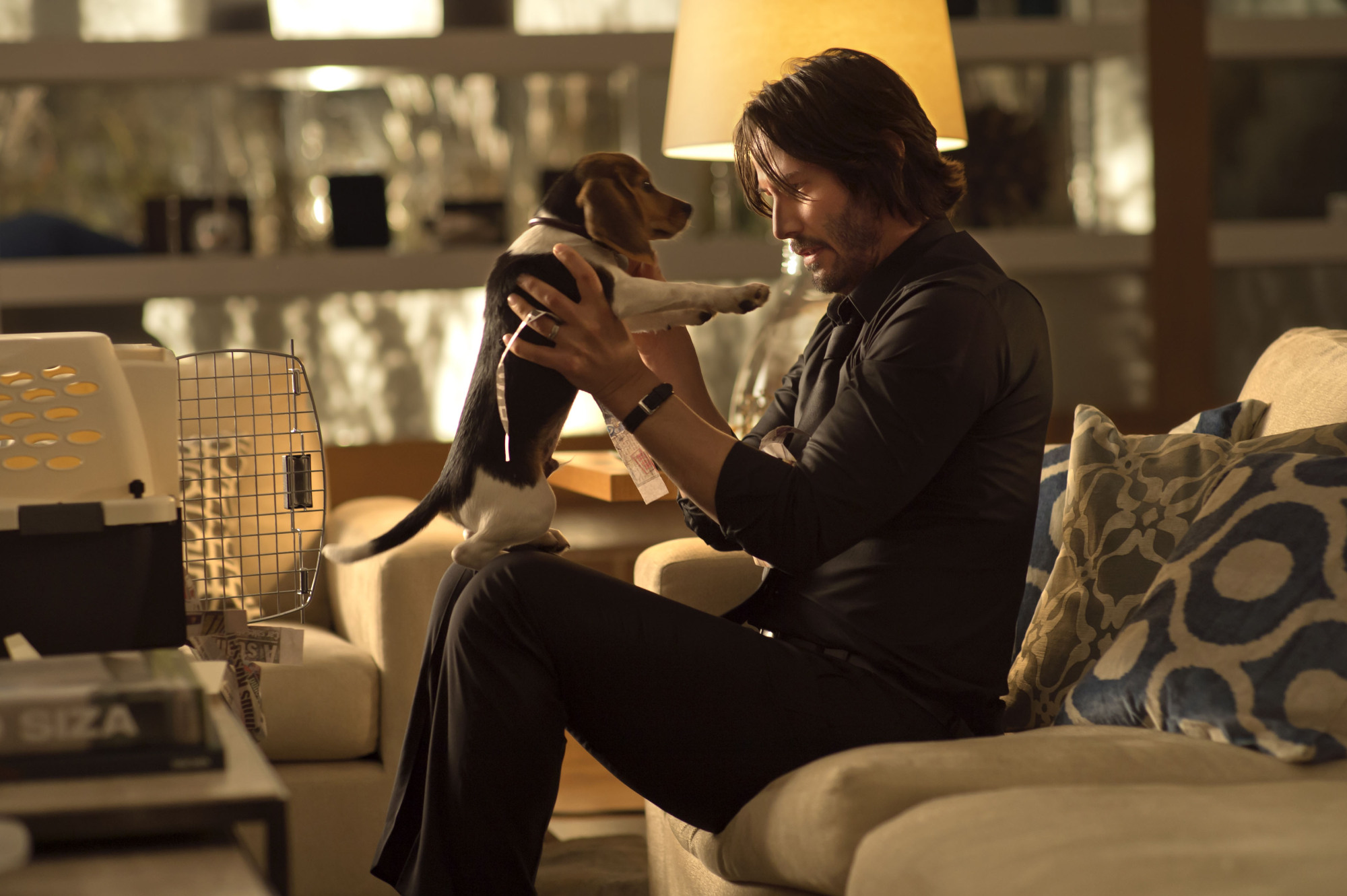 A man holds up a puppy lovingly while sitting on a couch.
