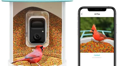 Cross section of blue and white birdhouse with black camera and red bird inside, next to phone showing image of red bird