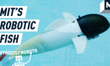 MIT's robotic fish swimming in a pool