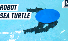 MIT's robot sea turtle swimming in a pool
