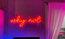 red neon light that says "why not" hanging on a wall 