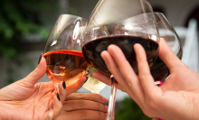 hands clinking wine glasses together