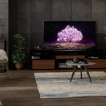 LG TV in fancy living room