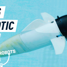 MIT's robotic fish swimming in a pool
