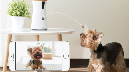White treat dispenser launching treat towards waiting dog, with phone in foreground showing image of said dog