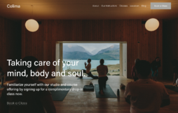 a screenshot of the squarespace template colima