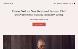 a screenshot from the squarespace template noll
